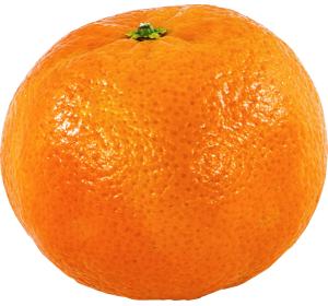 MANDARINE KG