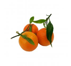 CLEMENTINE FEUILLE KG