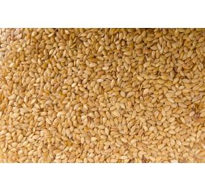 SESAME COMPLET VRAC KG