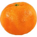 MANDARINE KG