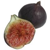 FIGUE FRAICHE KG