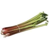 RHUBARBE KG