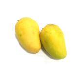 MANGUE SAUVAGE KG