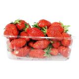 FRAISE  500G