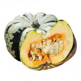 COURGE PATIDOU KG
