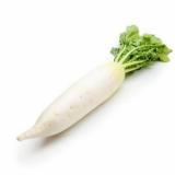 RADIS DAIKON KG