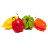 PIMENT ANTILLAIS KG