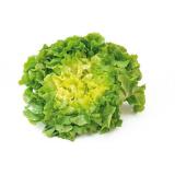 SALADE SCAROLE PIÈCE