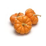 COURGE JACK BE LITTLE KG