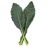 CHOU KALE KG