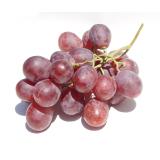 RAISIN RED GLOBE KG