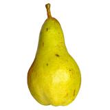 POIRE GUYOT KG