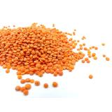 LENTILLE CORAIL