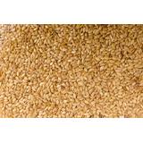 SESAME COMPLET VRAC KG