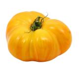 TOMATE ANANAS KG