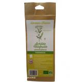 ACHILÉE MILLEFEUILLE SOMMITÉS